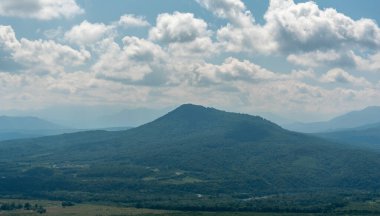 Sis içindeki yeşil ağaçlı alp çayırları