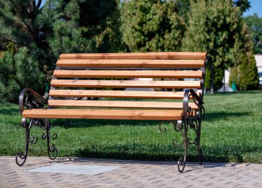 Şehir parkında ahşap bank ve yeşil ağaçlar.