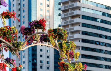 Şehir parkında taze çiçekler ve Grozny Çeçenistan Rusya 'da yüksek gökdelenler.