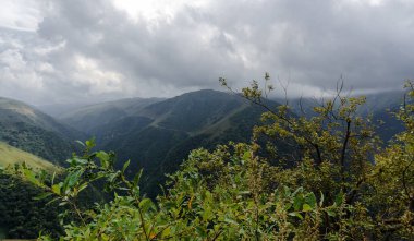 Yeşil ağaçlı yüksek dağlar ve insansız sonbahar manzarası