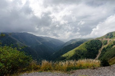 Yeşil ağaçlı yüksek dağlar ve insansız sonbahar manzarası