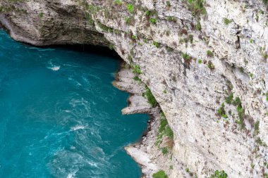 manzara dağ nehri ve kayalar yeşil taze bitkilerle