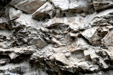 Doğal taş dokusu arkaplan deseni kapat