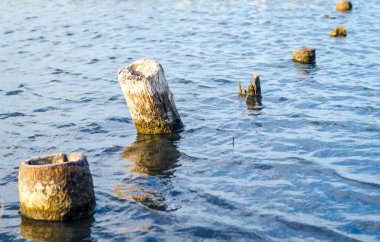 Mavi sudaki ahşap direkler, kapatın.