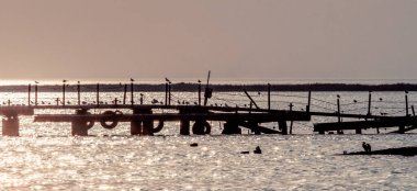 yaz akşamı denizde kuşlar ile eski bir kırık iskele silueti