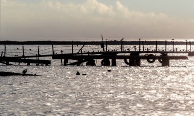 yaz akşamı denizde kuşlar ile eski bir kırık iskele silueti
