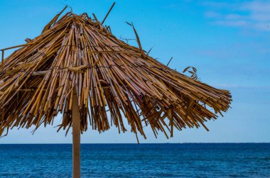 saman plaj şemsiye closeup bulutsuz bir günde hasarlı.
