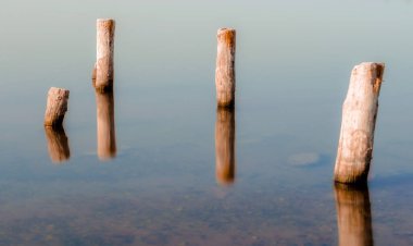 suyun sakin bir yüzeyde ahşap sütunlar