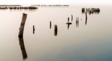 suyun sakin bir yüzeyde ahşap sütunlar