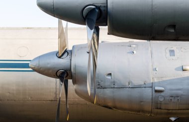 Antika bir uçağın pervane vidası motoru.