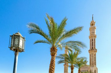 iki tarihi palms iki minare caminin El Mustafa Sharm El Sheikh, Mısır Güney Sina mavi gökyüzü arka plan üzerinde aydınlatma Fener Caddesi.