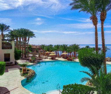 Sharm El Şeyh Mısır 'da Kızıl Deniz' in arka planında mavi su havuzu ve yeşil palmiye ağaçları var.