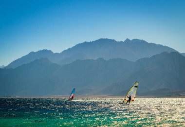 Mısır Dahab kayalık sahil arka planda denizde sörfçü binmek