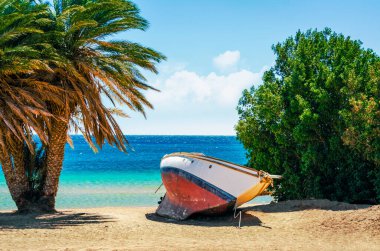 Eski yatı ve Kızıldeniz palmiyesi olan plaj, karantina sırasında insansız Mısır tatil beldesi