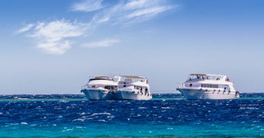 Sharm El Sheikh 'teki Kızıl Deniz' de üç beyaz zevk gemisi.