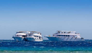 üç beyaz zevk tekne Red Sea'deki/daki