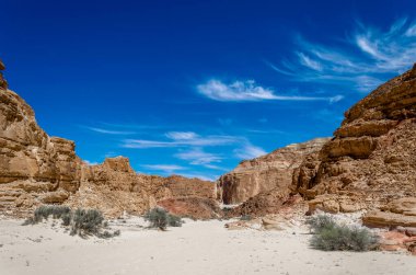bir kanyon dağlar ve mavi gökyüzü bulutlu fon karşı çölde kum üzerinde yeşil çalılar