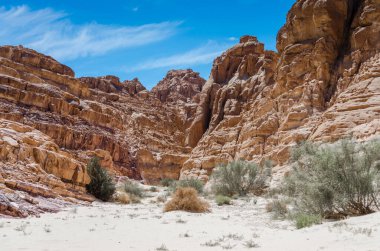 Mısır Dahab mavi gökyüzü ve beyaz bulutlar karşı çölde yüksek kayalık dağlar ve yeşil bitkiler