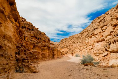 Mısır'daki çölde renkli Kanyon