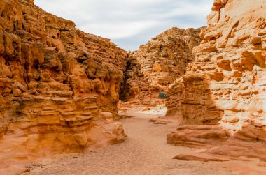 Mısır'daki çölde renkli Kanyon