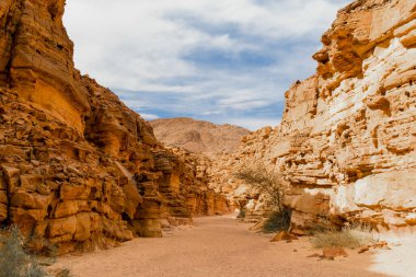 Mısır'daki çölde renkli Kanyon