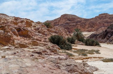 Mısır Dahab mavi gökyüzü ve bulutlar karşı dağlar arasında çöl yeşil palmiye ağaçları