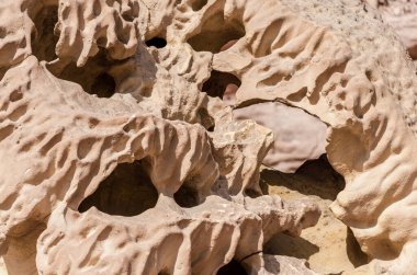 Taş taş doku portre