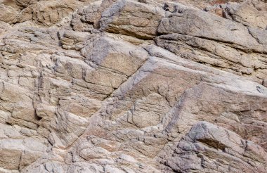 doku deseni taş kaya closeup detaylı