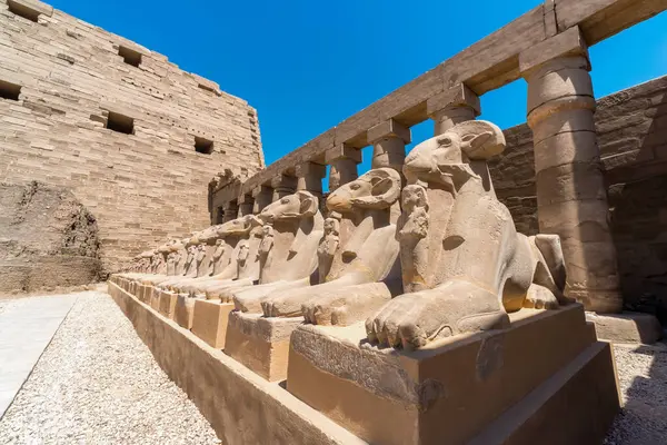 Antique statues of many sheep in the Karnak temple in Luxor in Egypt
