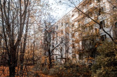 Çernobil 'de ağaçların arasında terk edilmiş bir ev.