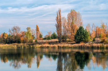 river bank with trees and reflection in the water in Chernobyl. Ukraine in the autumn afternoon