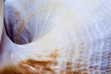 mavi turuncu karanlık delik ile büyük okyanus kabuğu soyut dokusuna parçası