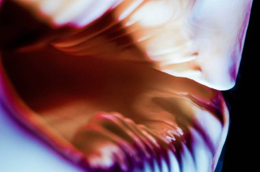 büyük okyanus kabuğu Soyut doku turuncu menekşe koyu delik makro closeup ile parçası