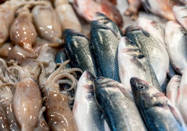 Balık pazarında taze balık var. Kapatın.