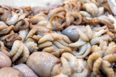 Balık pazarında taze ahtapot var. Kapatın.