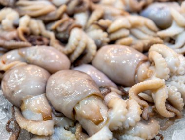 Balık pazarında taze ahtapot var. Kapatın.