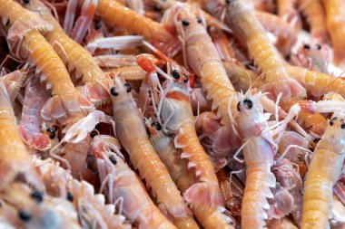 Balık pazarında taze karides var. Kapatın.