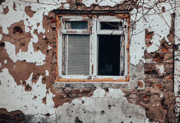 Ukrayna 'daki savaş sırasında şehirdeki evleri yakıp yıktılar.