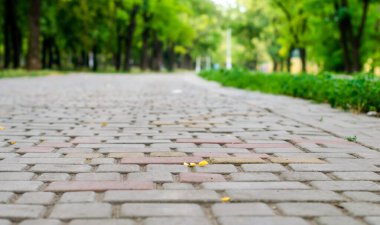 geçit parkta bir çini ile yakın çekim