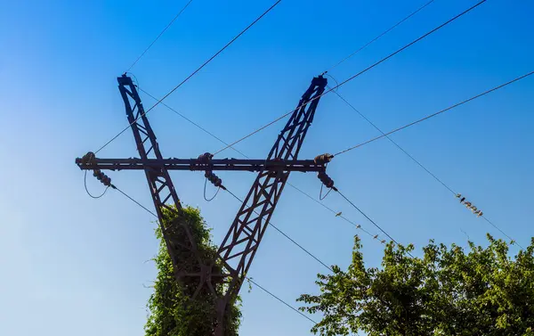 support line of electric wires with green leaves and birds on wires against the blue sky
