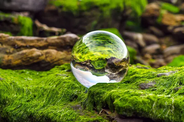 claer glass ball lens lies on stones covered with green mud and reflects the landscape of the world upside down