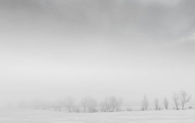 kış manzara kar zemin ve ağaç yaprakları sis olmadan