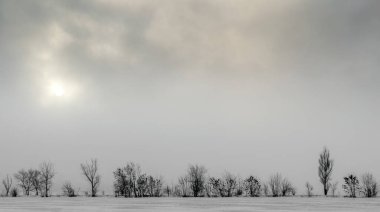 kış manzara kar zemin ve ağaç yaprakları karşı karanlık gökyüzü ve güneş olmadan