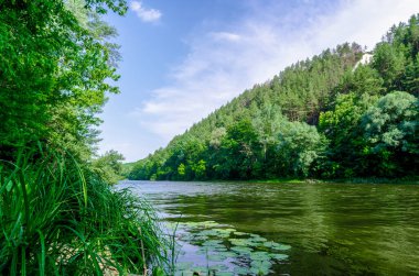 Nehir ve yeşil orman Ukrayna 'da insansız bir dağda
