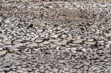 Bitkisiz kuru toprak zayıf ekoloji ve küresel ısınma