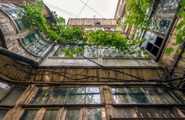 Tiflis Georgia 'da asma ve üzüm yapraklı eski bir evin pencereleri.