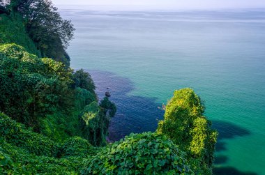 arka plan panoramik manzara deniz ve dağlar Gürcistan 'da sonbaharda yeşil orman