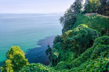 arka plan panoramik manzara deniz ve dağlar Gürcistan 'da sonbaharda yeşil orman
