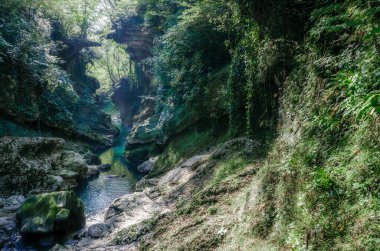 Gürcistan 'ın Martvili Kanyonu' nda sonbaharda yeşil bitkilerle taştan kayaların arasındaki nehir.