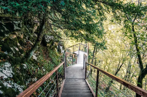 old metal stairs in a forest with green trees in a canyon in Georgia in autumn